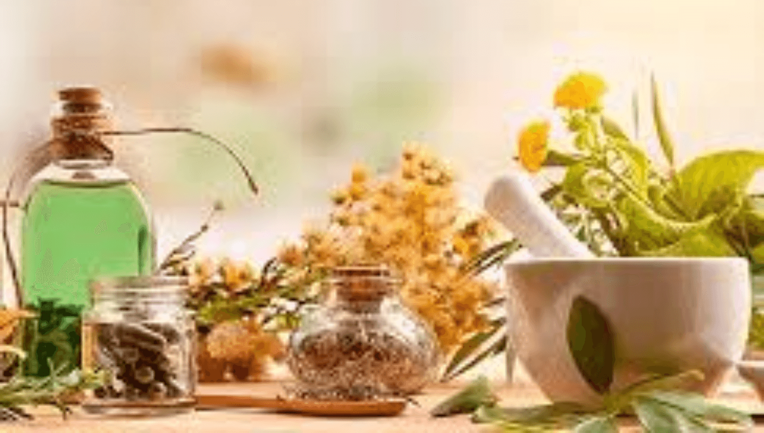 Image for Naturopathy Free Talk with Michele (Open House)